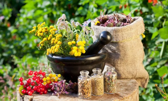 Kräuter von Helminthen