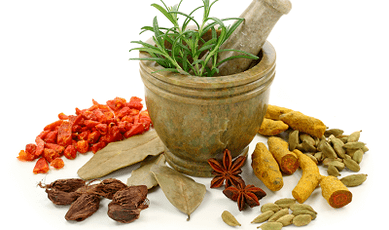 Methoden zur Behandlung von Parasiten im Körper