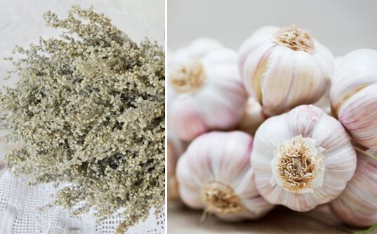 Wermut und Knoblauch zur Reinigung des Körpers von Parasiten